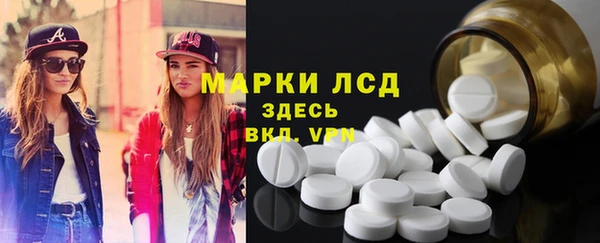 стаф Нея
