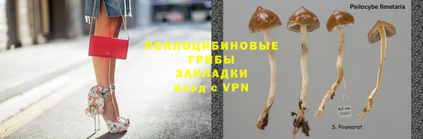 эйфоретик Алексин