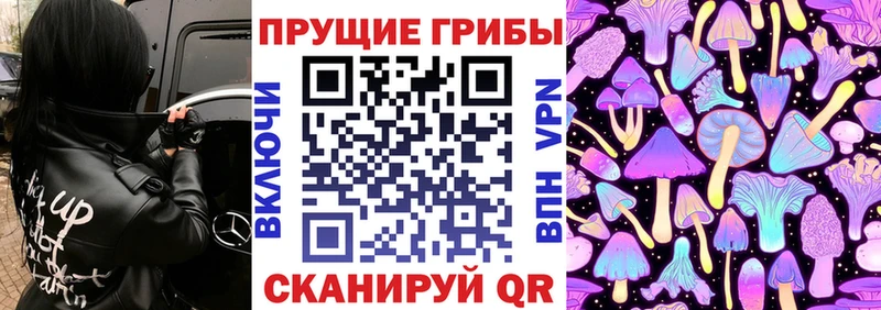 закладка  Бологое  Галлюциногенные грибы прущие грибы 